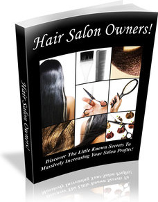 Ebook cover: Hair Salon Owners