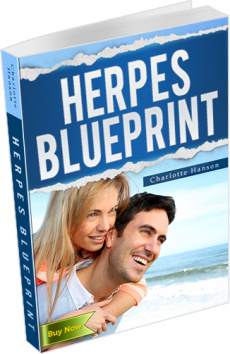 Ebook cover: Herpes  Blueprint