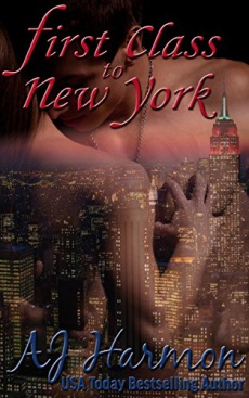 Ebook cover: First Class to New York