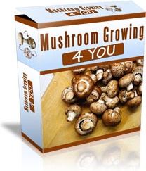 Ebook cover: Mushroom Growing 4 You