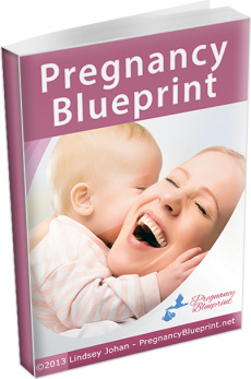 Ebook cover: Pregnancy Blueprint