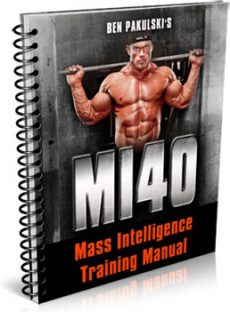 Ebook cover: MASS Intelligence Training Manual