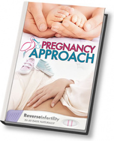 Ebook cover: Pregnancy Approach