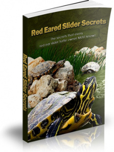 Ebook cover: Red Eared Slider Secrets