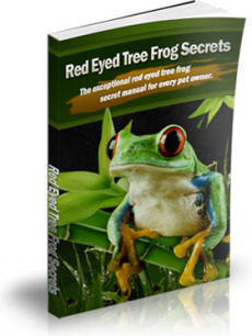 Ebook cover: Red-Eyed Tree Frog Secrets