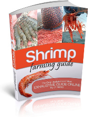Ebook cover: Shrimp Farming Guide