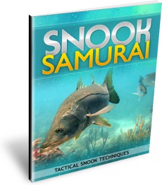 Ebook cover: Snook Samurai