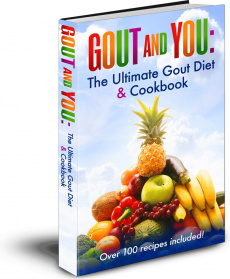 Ebook cover: Gout and You