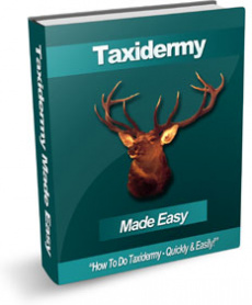 Ebook cover: Taxidermy Made Easy