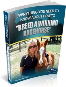 Ebook cover: Breed A Winning Racehorse