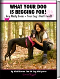 Ebook cover: What Your Dog Is Begging For!