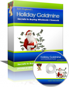 Ebook cover: Holiday Goldmine