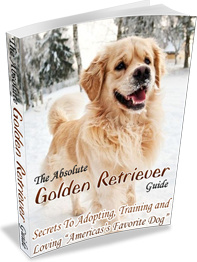 Ebook cover: The Absolute Golden Retriever Guide