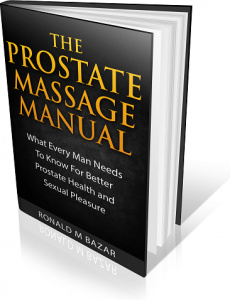 Ebook cover: The Prostate Massage Manual