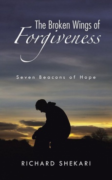 Ebook cover: The Broken Wings of Forgiveness