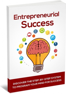 Ebook cover: Entrepreneurial Success - How To Do A Killer Startup