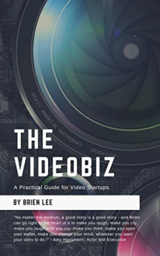 Ebook cover: The VideoBiz: A Practical Guide for Video Startups