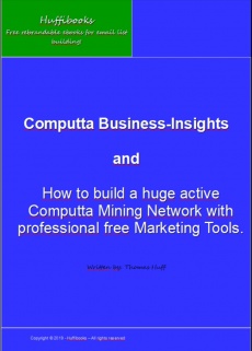 Ebook cover: Computta Business Insights