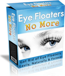 Ebook cover: Eye Floaters No More
