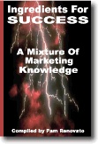 Ebook cover: Ingredients for Success: A mixture of Marketing Knowledge