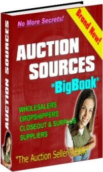 Ebook cover: Auction Sources Big Book