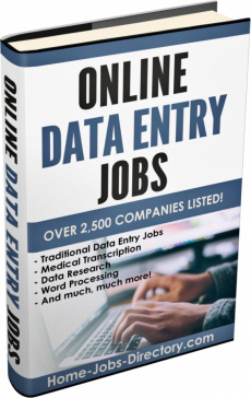 Ebook cover: Online Data Entry Jobs