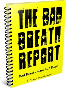 Ebook cover: The Bad Breath Report