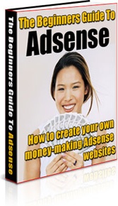 Ebook cover: The Beginners Guide To Adsense