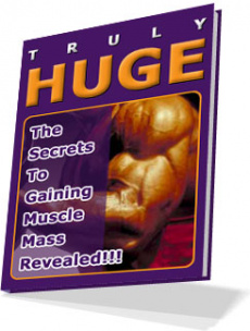 Ebook cover: TRULY HUGE TRAINING