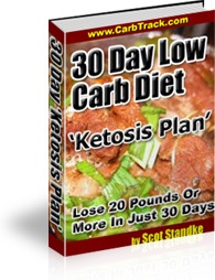 Ebook cover: 30 Day Low Carb Diet 'Ketosis Plan'