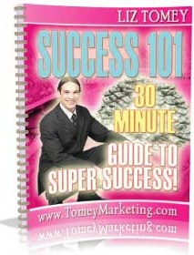 Ebook cover: Success 101