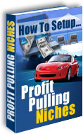Ebook cover: How To Setup Profit Pulling Niches