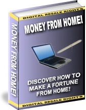 Ebook cover: Money From Home