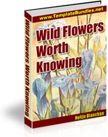 Ebook cover: Wild Flowers Worth Knowing