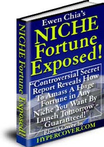 Ebook cover: Niche Fortune Exposed