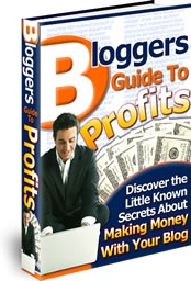 Ebook cover: Bloggers Guide To Profits