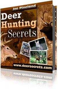 Ebook cover: Deer Hunting Secrets