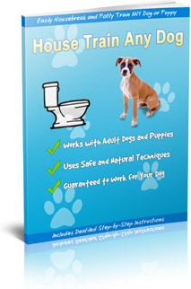 Ebook cover: Dog Trainer Pro