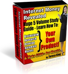 Ebook cover: Internet Money Revealed