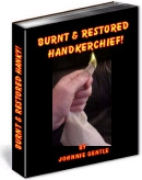 Ebook cover: Burnt & Restored Hanky