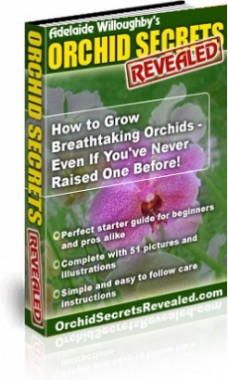 Ebook cover: Orchid Secrets Revealed