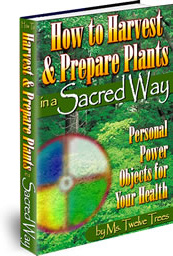 Ebook cover: How to Harvest and Prepare Plants in a Sacred Way
