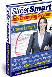 Ebook cover: Job Changing System