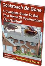Ebook cover: How To Get Rid Of Cockroaches